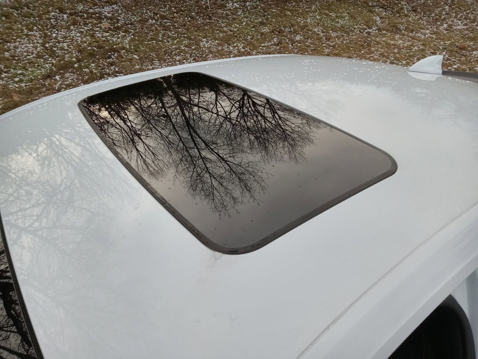 2026 Cadillac CT4 Sport