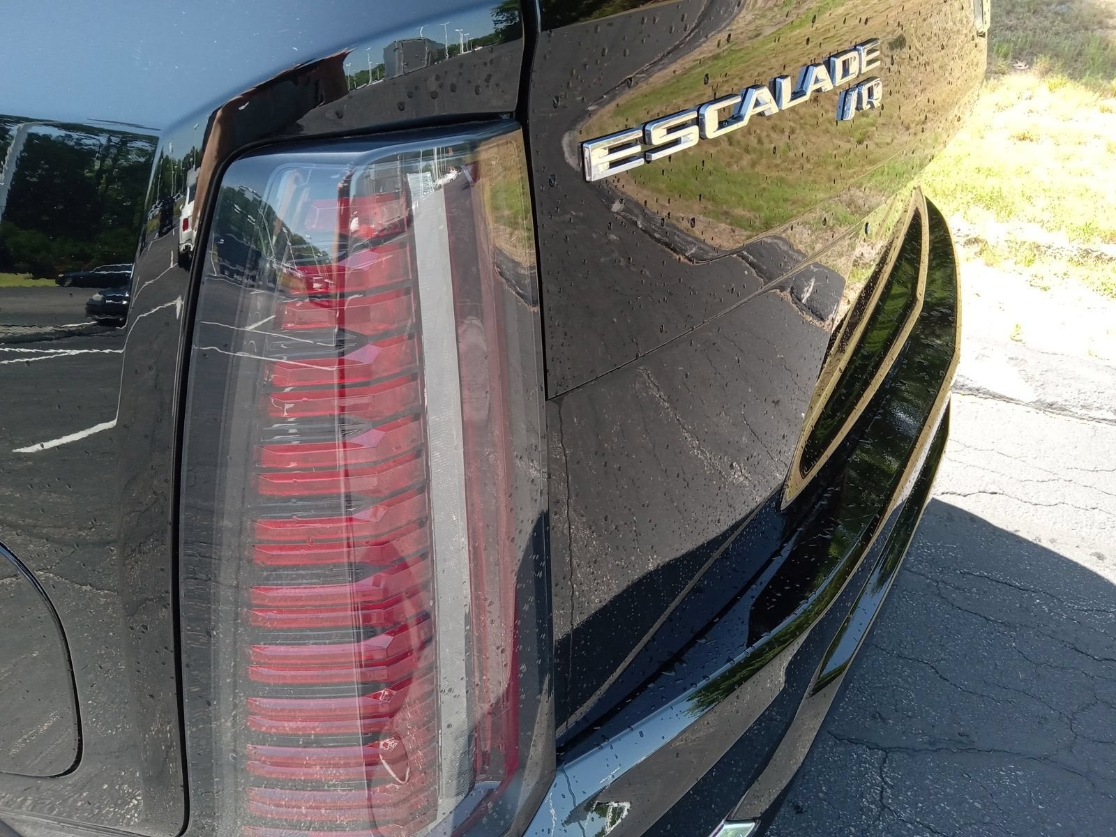 2025 Cadillac ESCALADE IQ Luxury 1