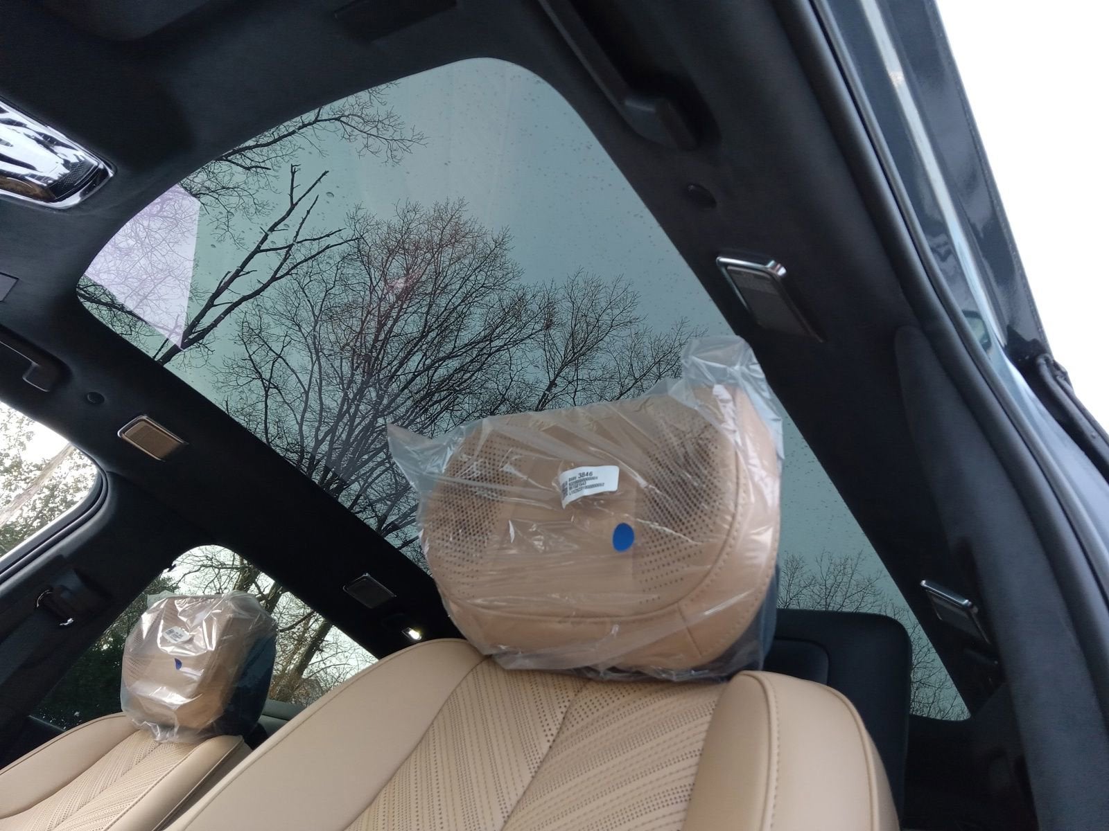 2026 Cadillac ESCALADE IQ Premium Sport