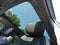 2025 Cadillac OPTIQ Luxury 1